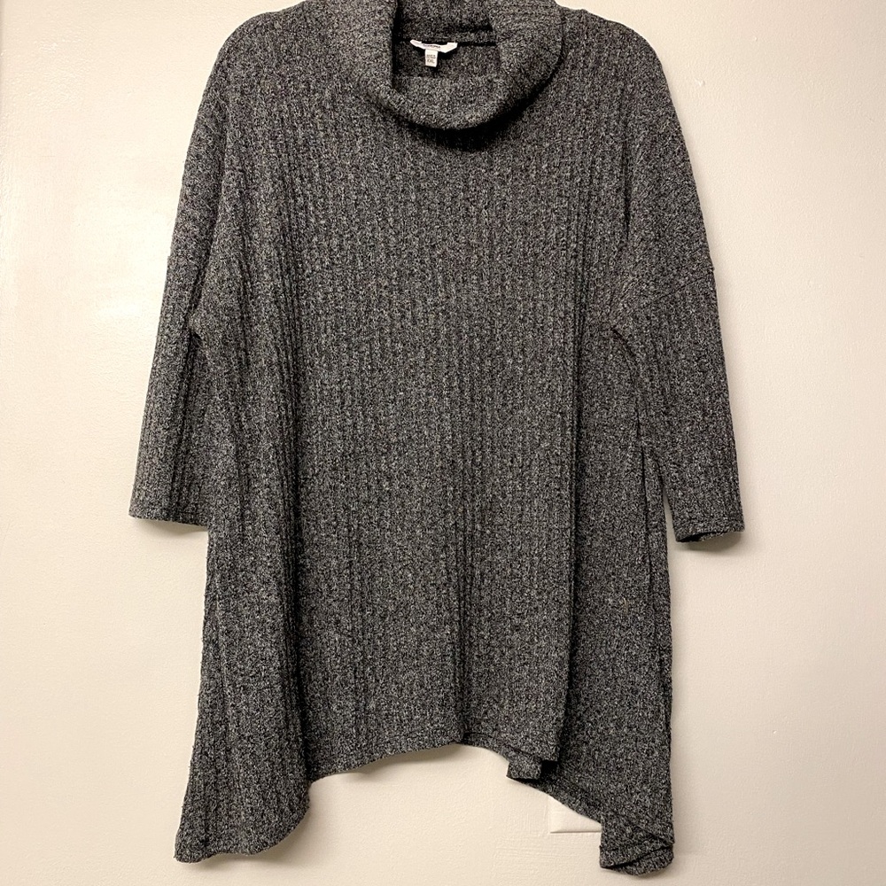 Sonoma turtle neck